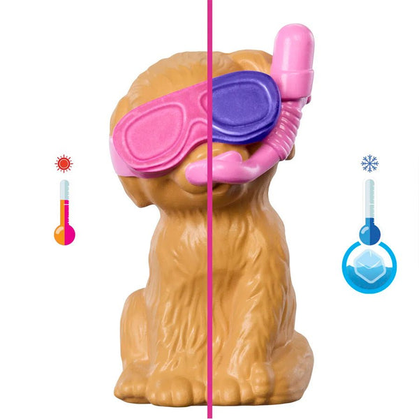 Barbie pool til hunde, aloha party