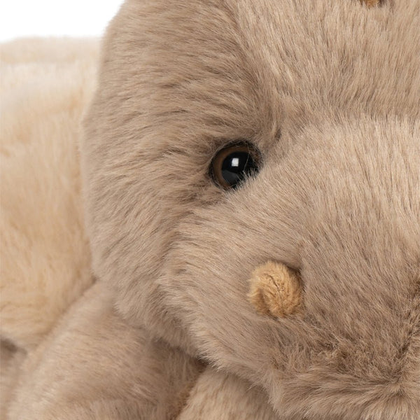 Teddy Drage