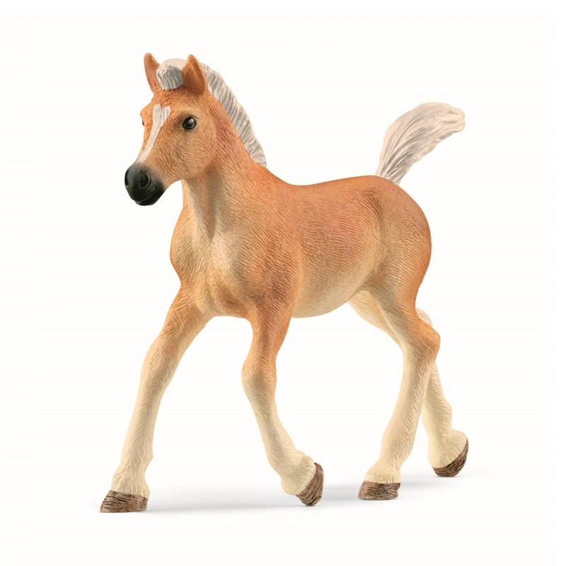 01_13951_Schleich-Haflinger-foel.png