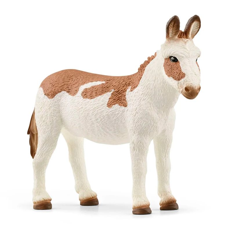 01_13961_Schleich-American-spotted-aesel.png