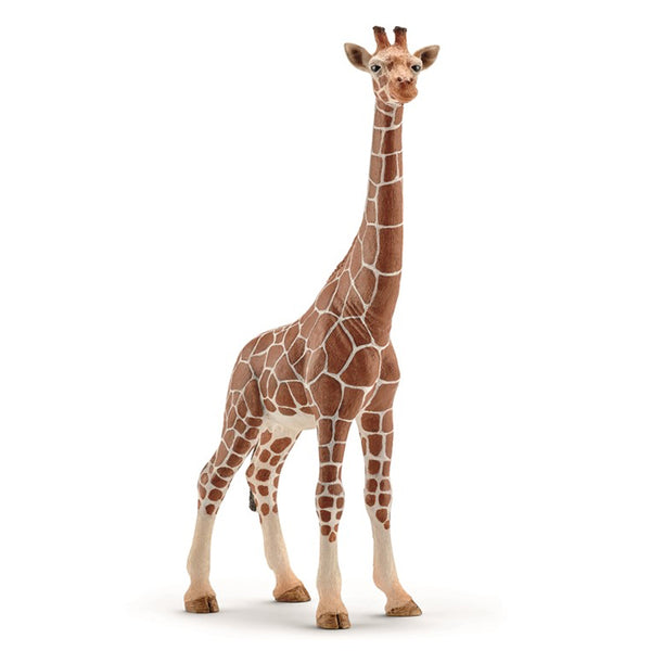 Schleich Tiere, Giraffe Weibchen