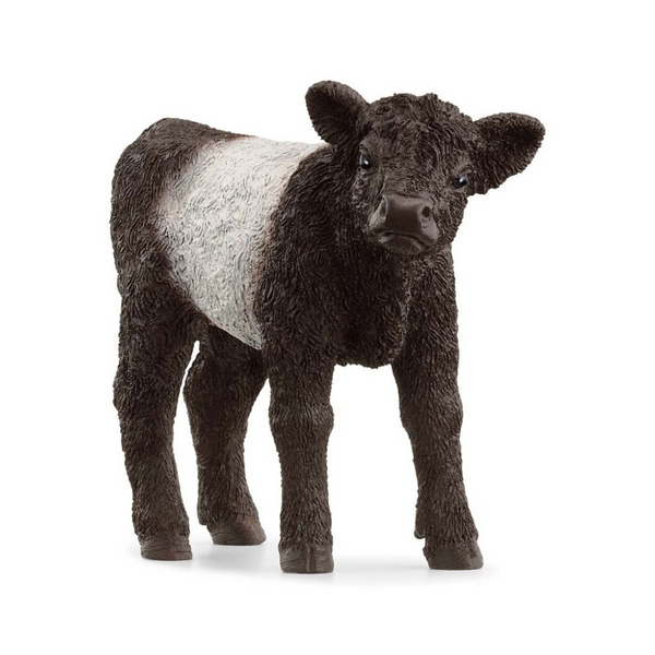 Schleich Gallowaykalb