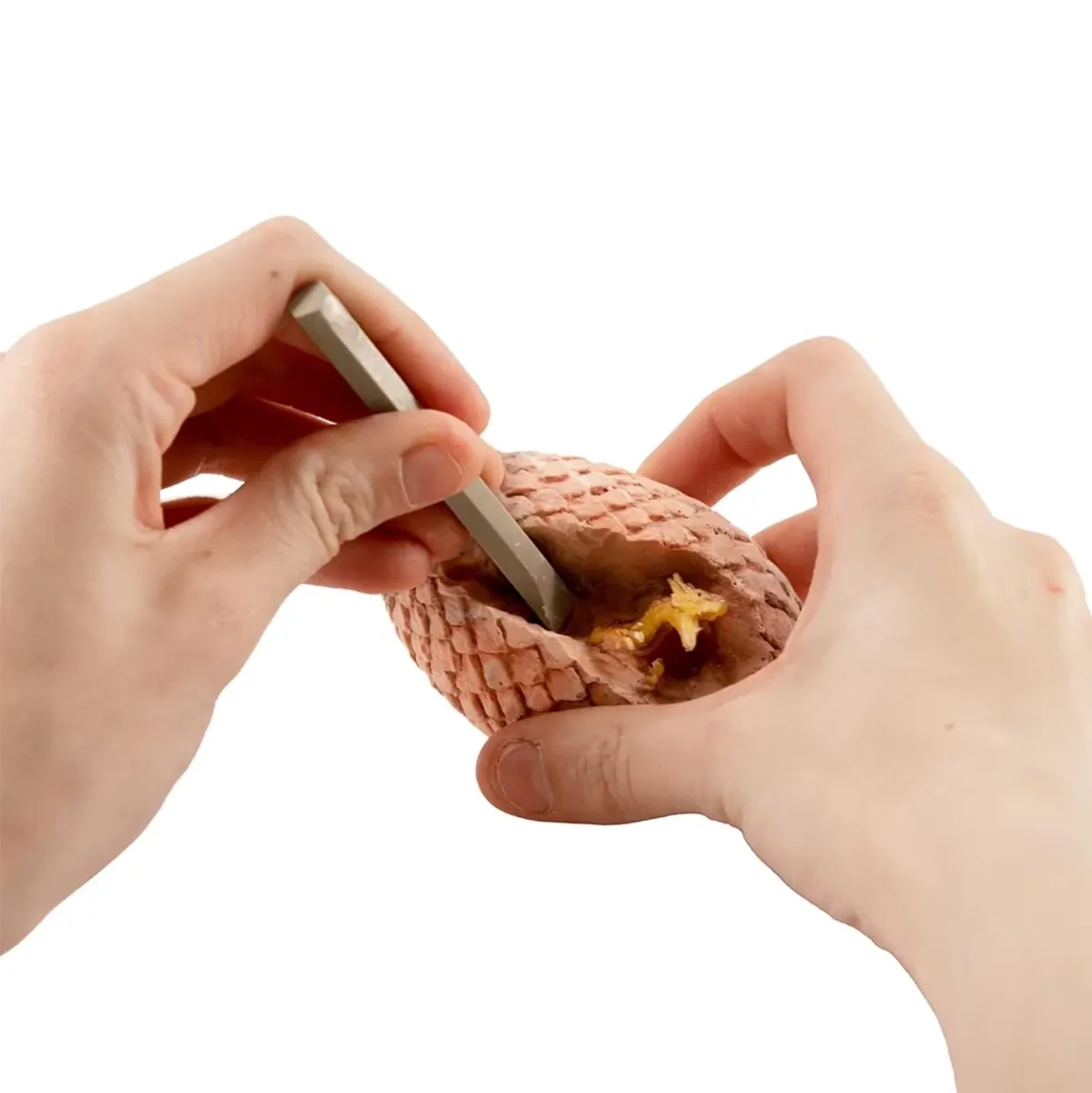 I Dig It! Dragons Udgravning