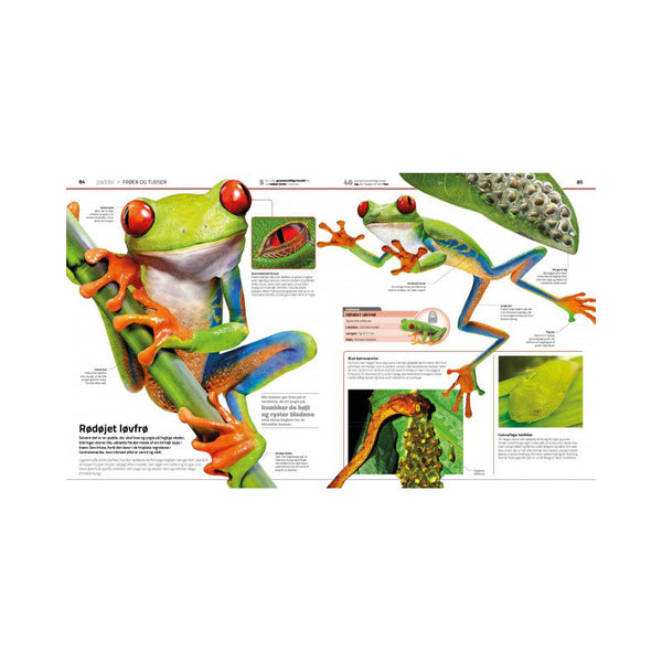 Das große Familienbuch über das Tierreich!