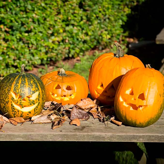 02_CC hobby græskarskæresæt-2.jpg