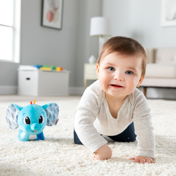 Lamaze Schnuller Elefant