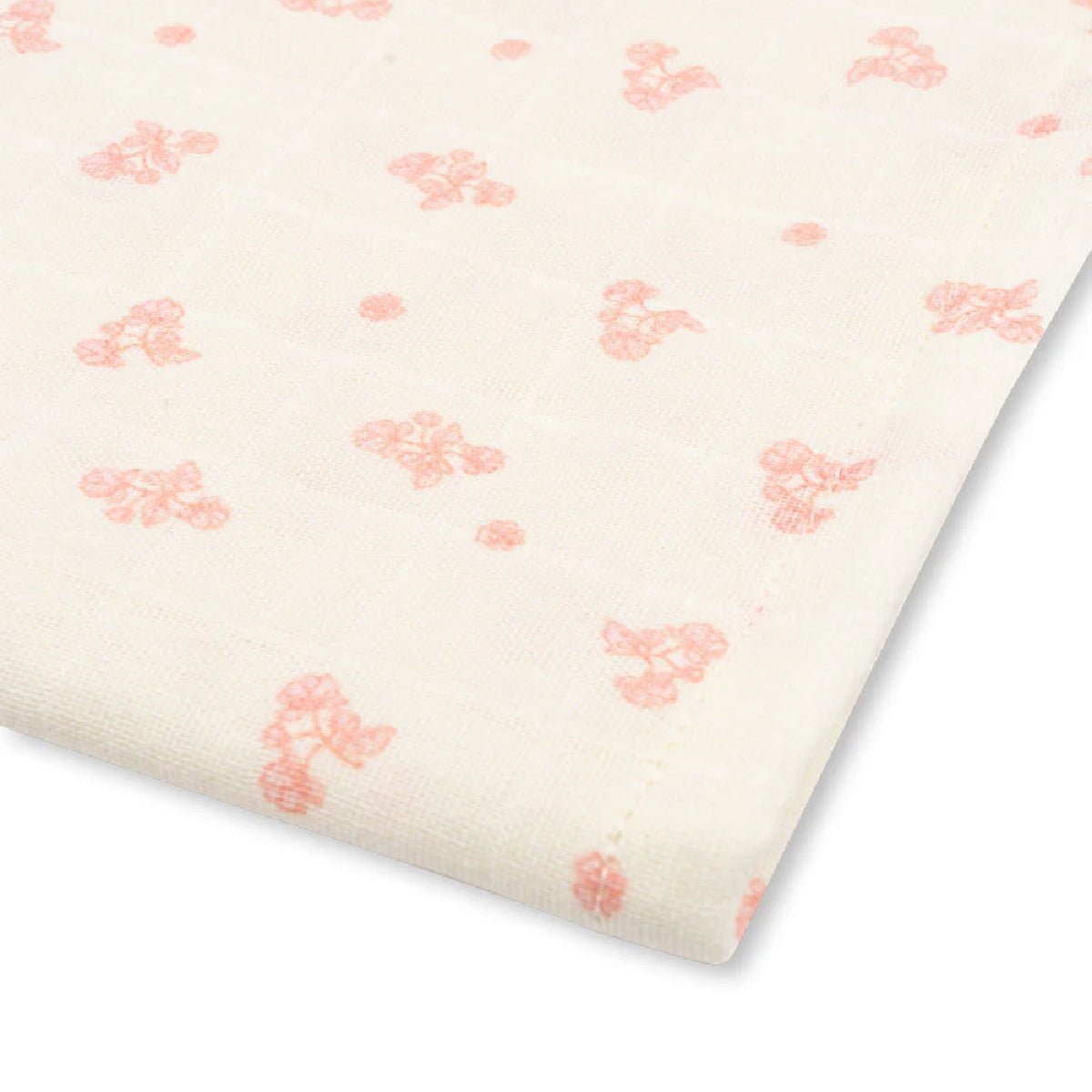 Fanga Bellini 3 - pak Stofbleer, Ilmia