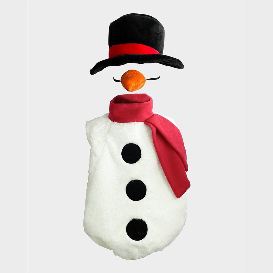 Den Goda Feen udklædning, Snemand