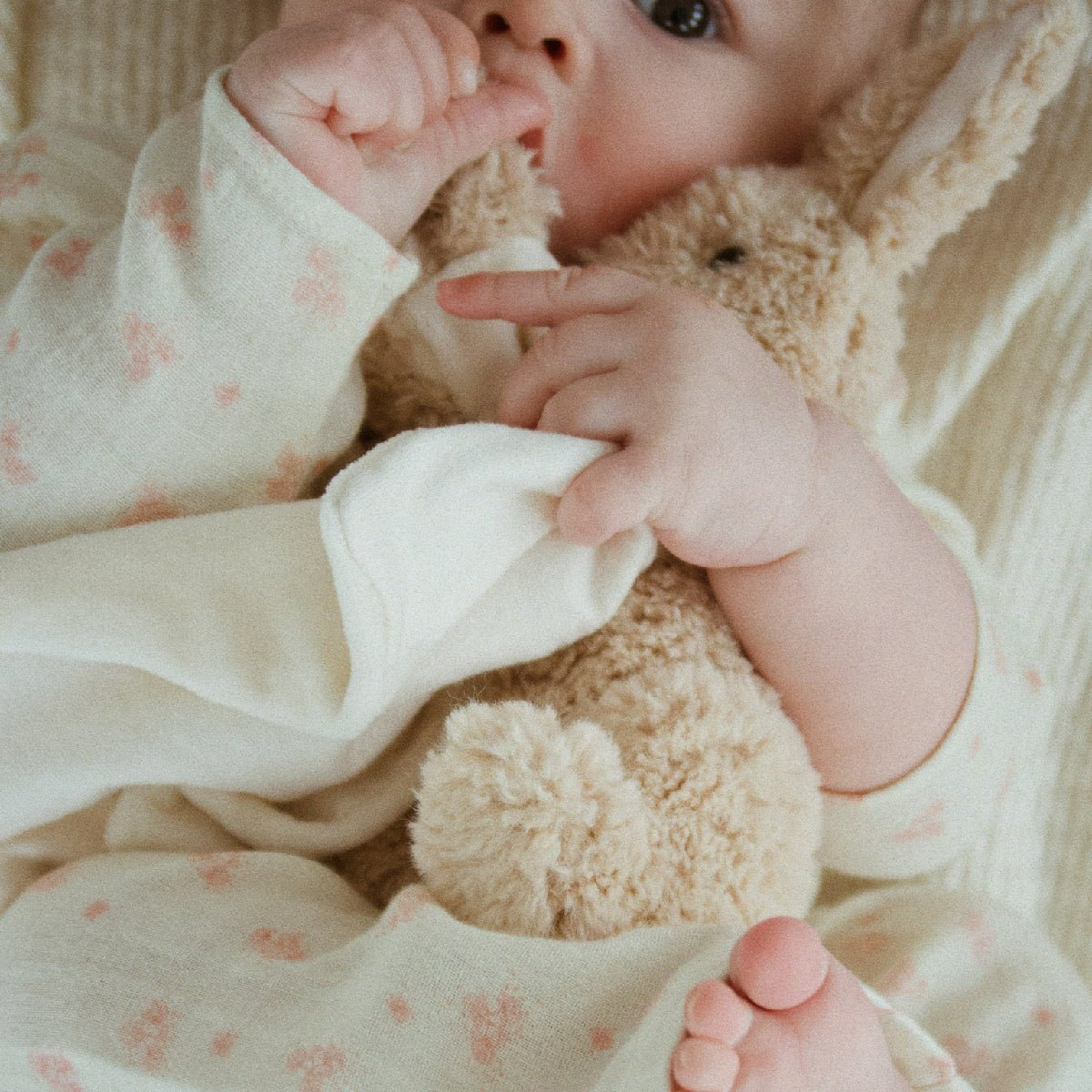 Fanga Piccobino Nusseklud, Oyster Grey