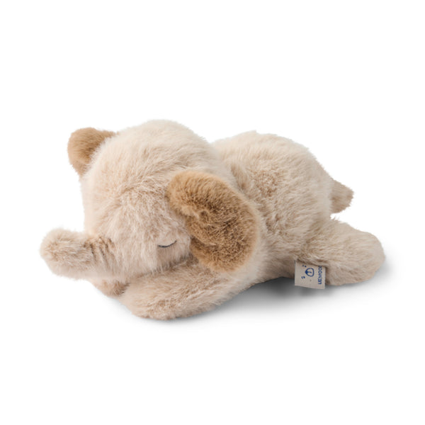Dania Elefant Rangle i Mist