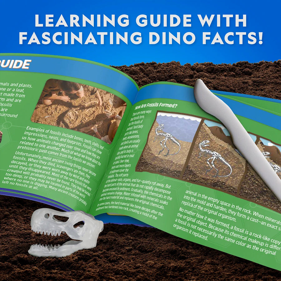 Dissektions Lab med T-Rex