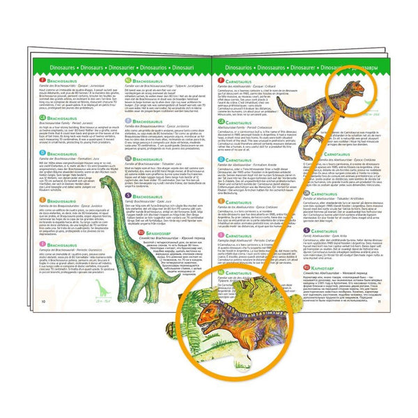 Beobachtungspuzzle mit Dinosauriern (100 Teile)
