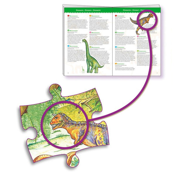 Beobachtungspuzzle mit Dinosauriern (100 Teile)