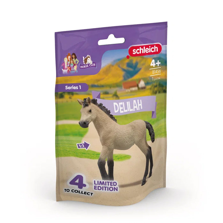 Fohlen Delilah