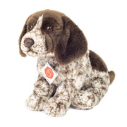 Hønsehund (30 cm)