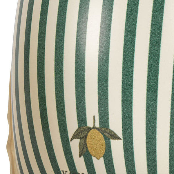 Schwimmflügel in Green Stripe