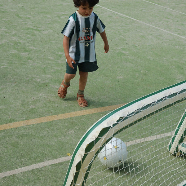 Aufpustbares Tor mit Ball in Green Stripe