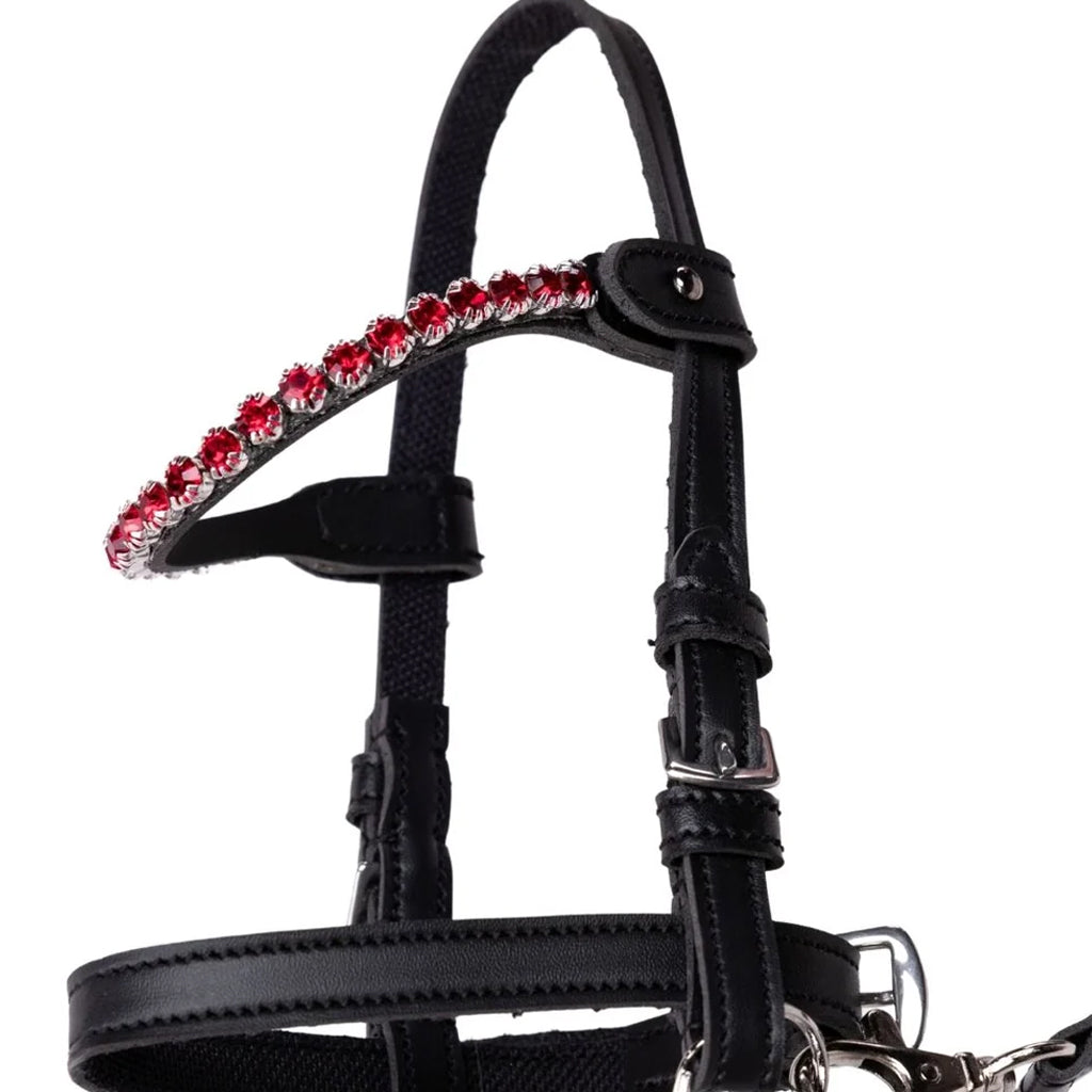 Stinreihen mit roten Steinen von My Hobby Horse