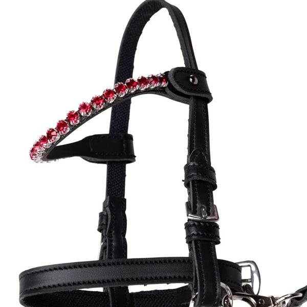 Stinreihen mit roten Steinen von My Hobby Horse
