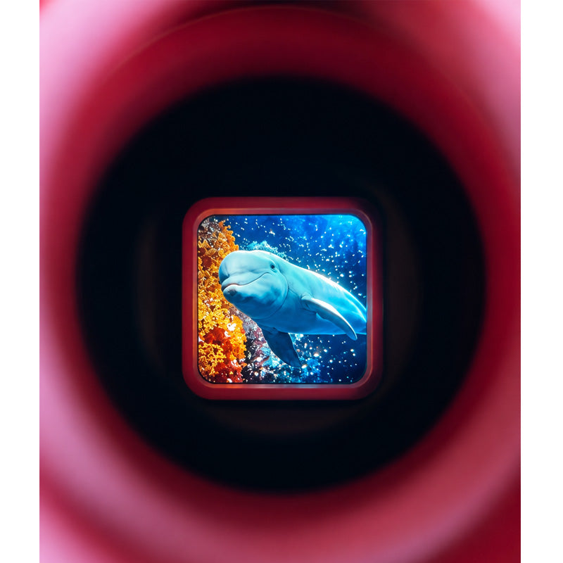Retro 3D Viewer Rosa