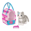 Pucci Katze in Tasche