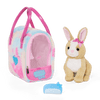 Pucci Hase in Tasche
