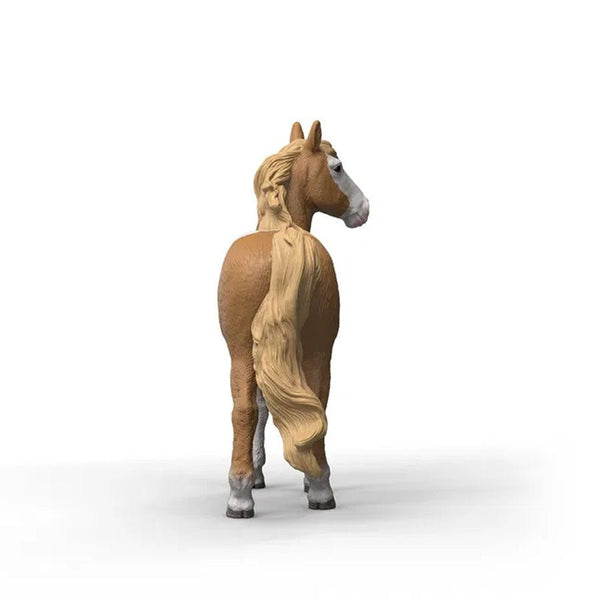 Scheich Mustang Stute