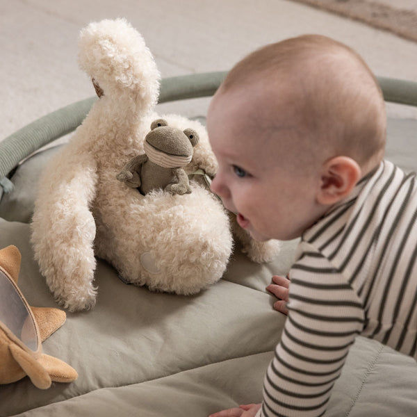 Sebra Aktivitäts-Versteckspielzeug, Schwan