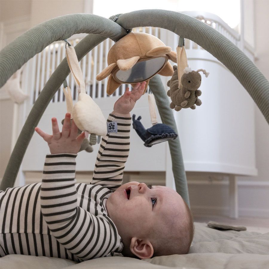 Sebra Aktivitätsspielzeug, 3 Stk. Frosch-Biene-Schnecke