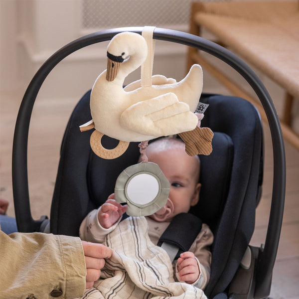 Sebra Multi-Aktivitätsspielzeug, Schwan