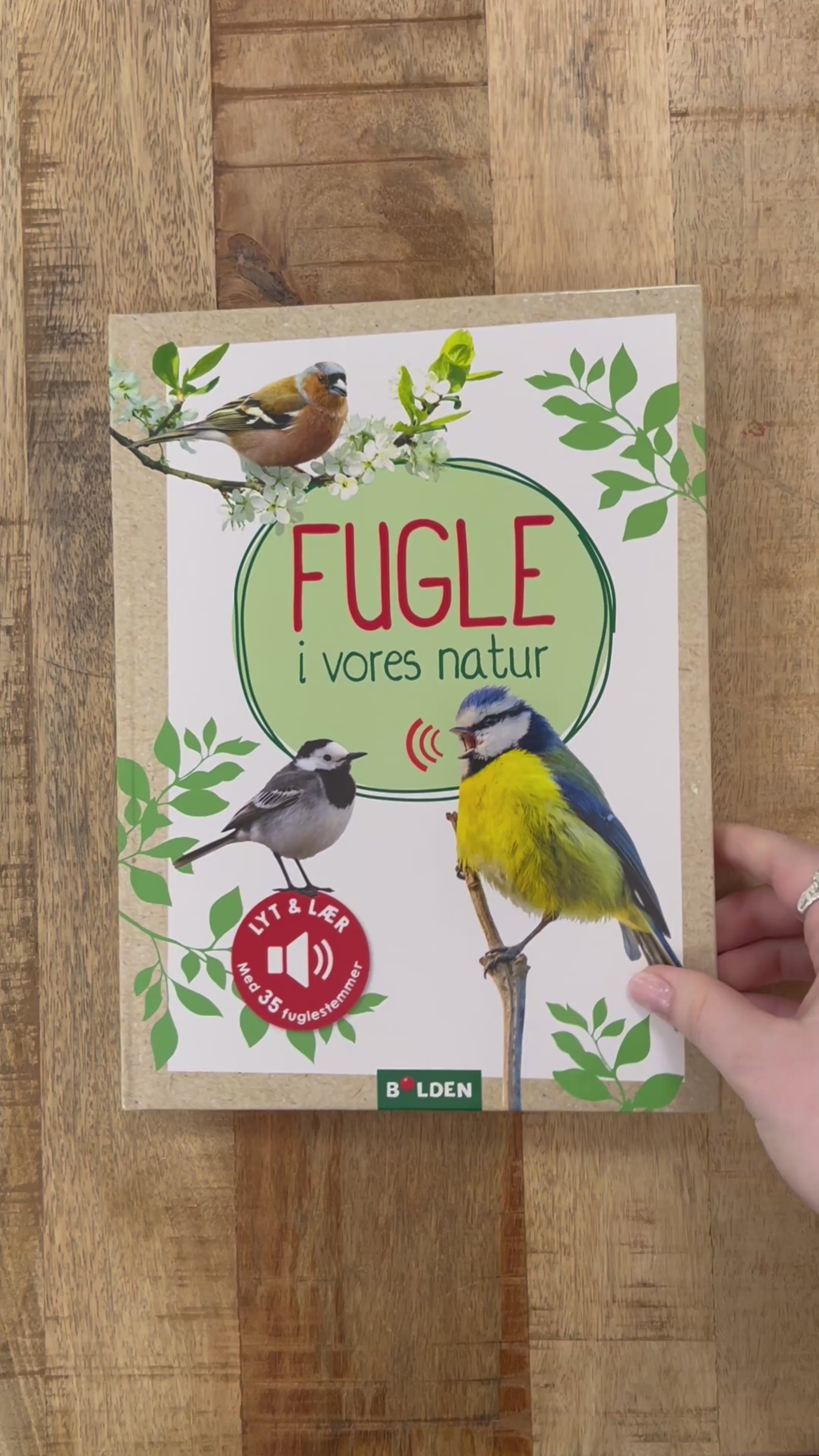 Video laden: Vögel in unserer Natur - Hörbuch